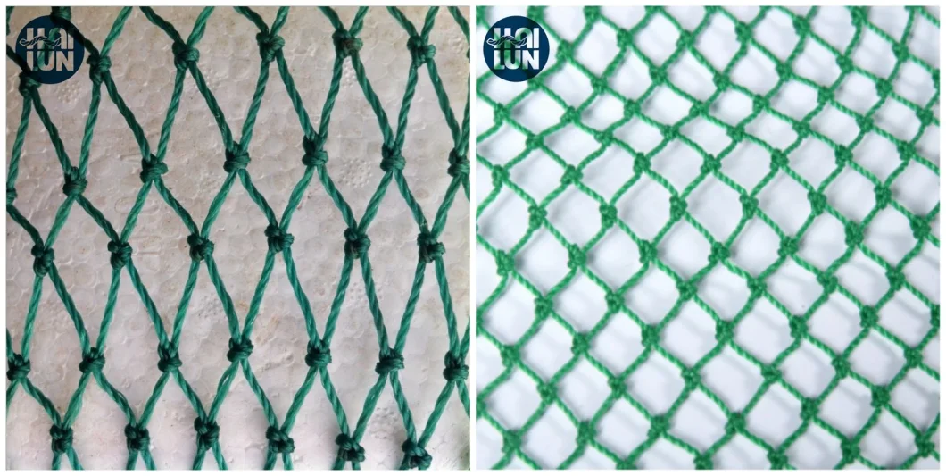 Container Chicken Aquaculture Pallet Wrap Hemp Tilapia Sports Netting Nylon Knotted Webbing Cargo PE Braided Fishing Knotless Polyethylene Net Price